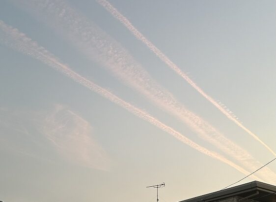 秋の空（シン・セシア）