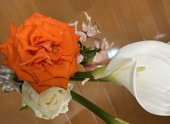 今月の花（シン・セシア）