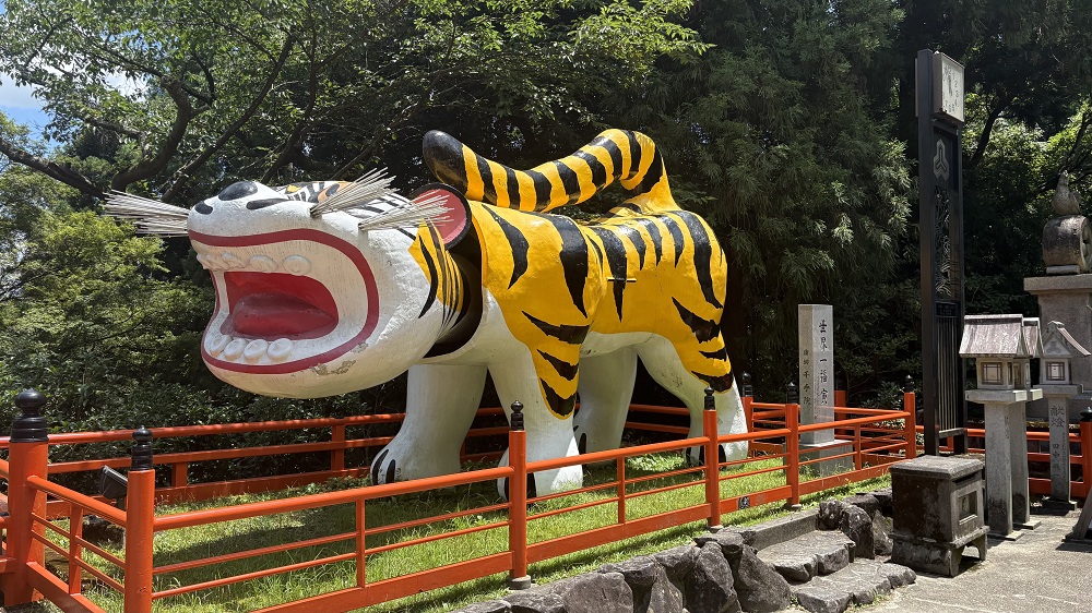 シン・セシア