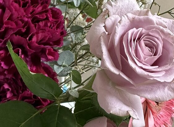 今月の花たち（シン・セシア）