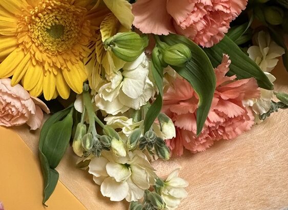 Ｙ様ありがとう（シン・セシア）