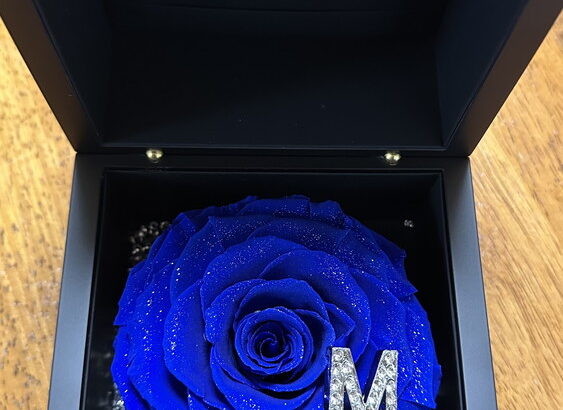 N様ありがとうございました（シン・セシア）